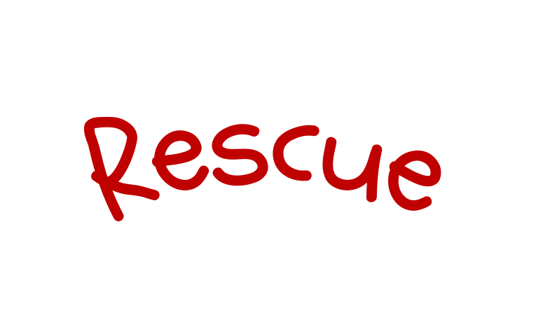 Rescue