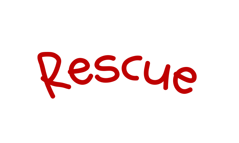 Rescue